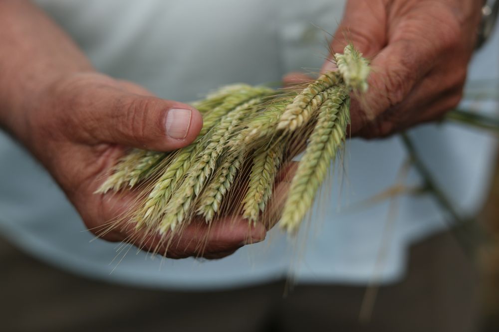 � ������� ���������������� ��������� ������� �������� ������������� ����������� �� ��������� �������������������� ��������