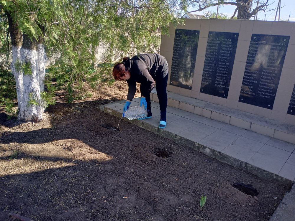 ����� ��������: ������������� ������. ��������� ������������������ ���� ��������, ��������� � ������������� � ������������...