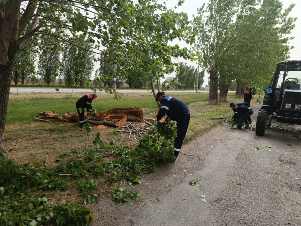 ������� �� ����� ������ ����� ������, � ������������� ������������� ����������� �������������, ������� ������ � ��� ������