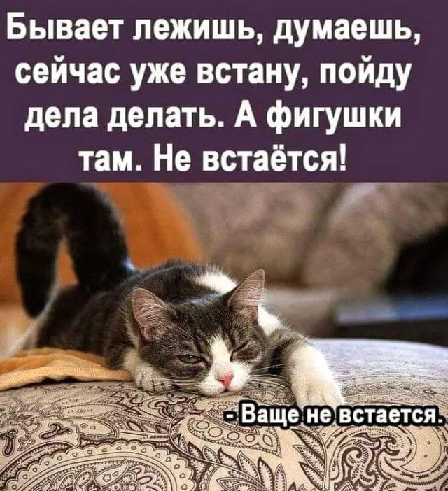 � �� ������� �������� �����-�� ����, �� ����� ���� ������, �����