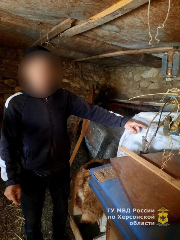 ����������� ���������� ������� ��������� �������������� � �������� �������