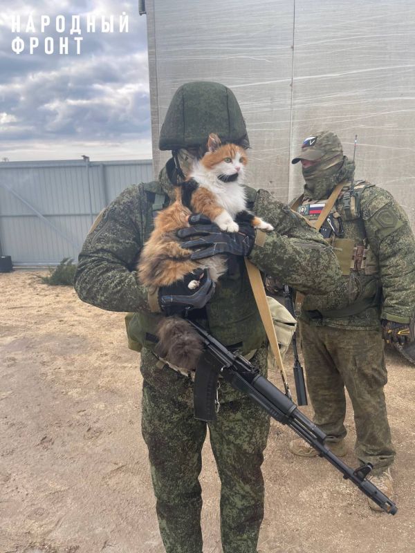 ����� ����������� ����������� � �� ��� � �������� "�����" ������ ��������� ������ ������