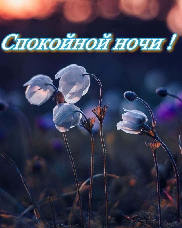 ������ ����. ������ ����� �������� ���� ��������� �������� � �������� ��� � ������ � ������� ����� ��������� �� ������ ������. ��� �������. ����������� �� +10 ����� �� +21 ���