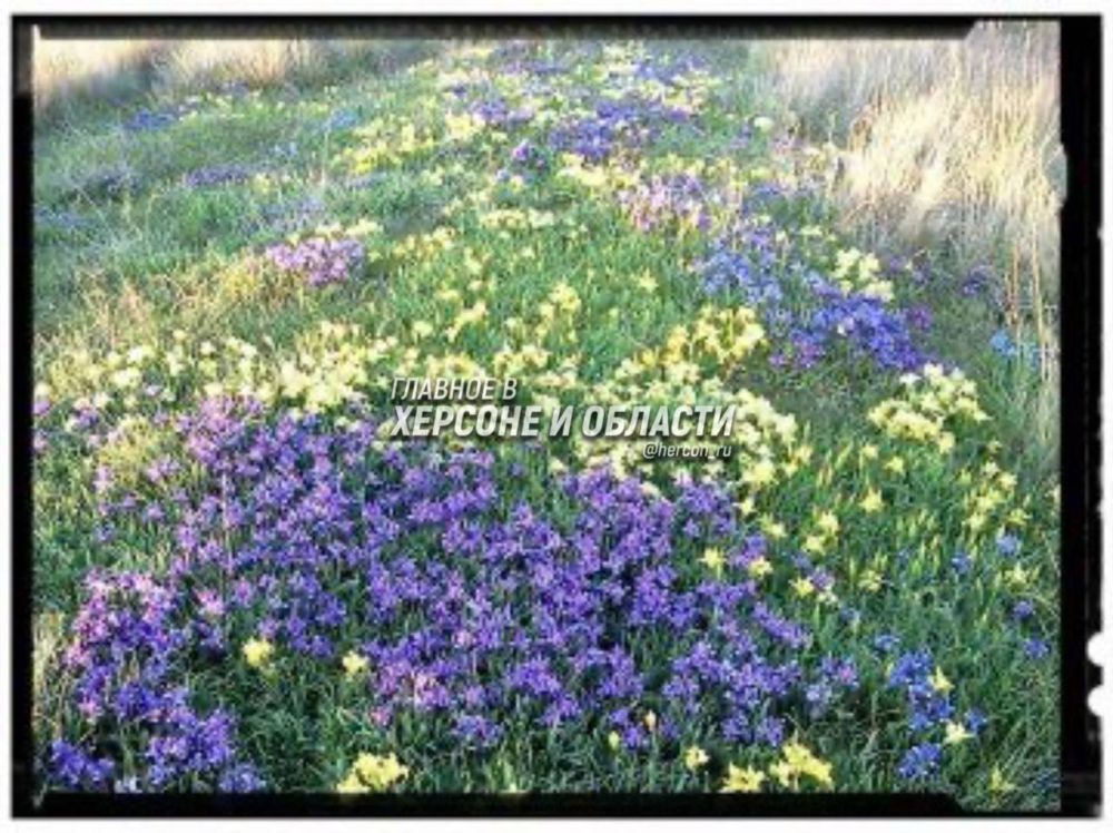 ���� ������� � ��� ���� ���������