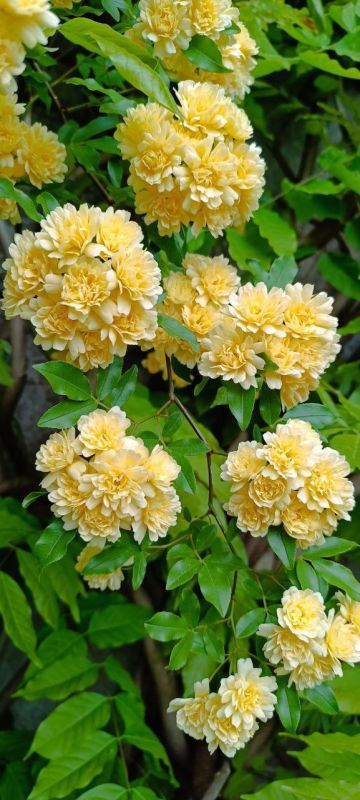 � ������ �����, �����������!