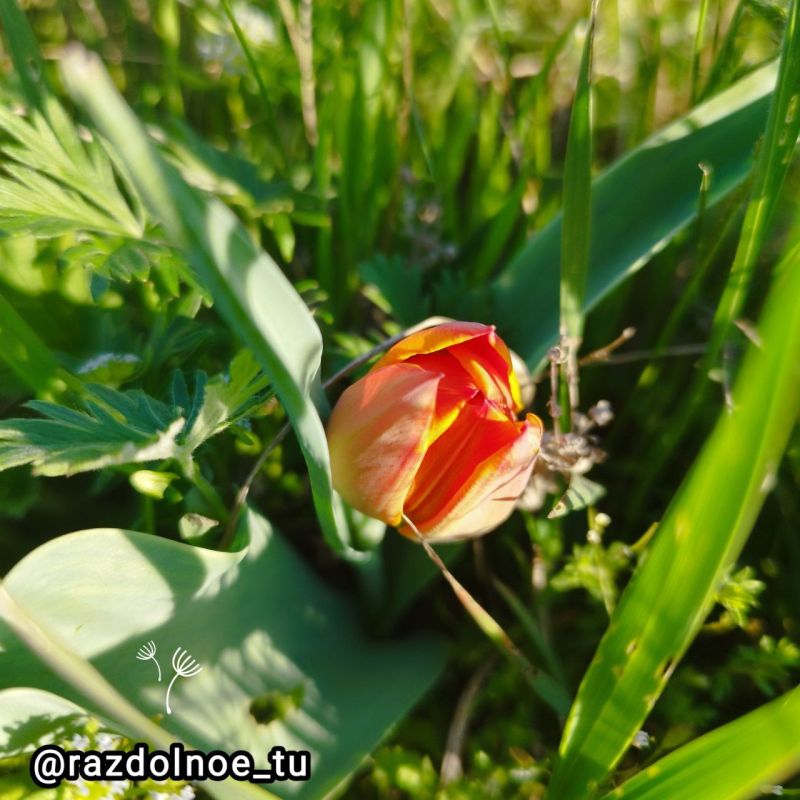 ����������!. ��������, �������� ������