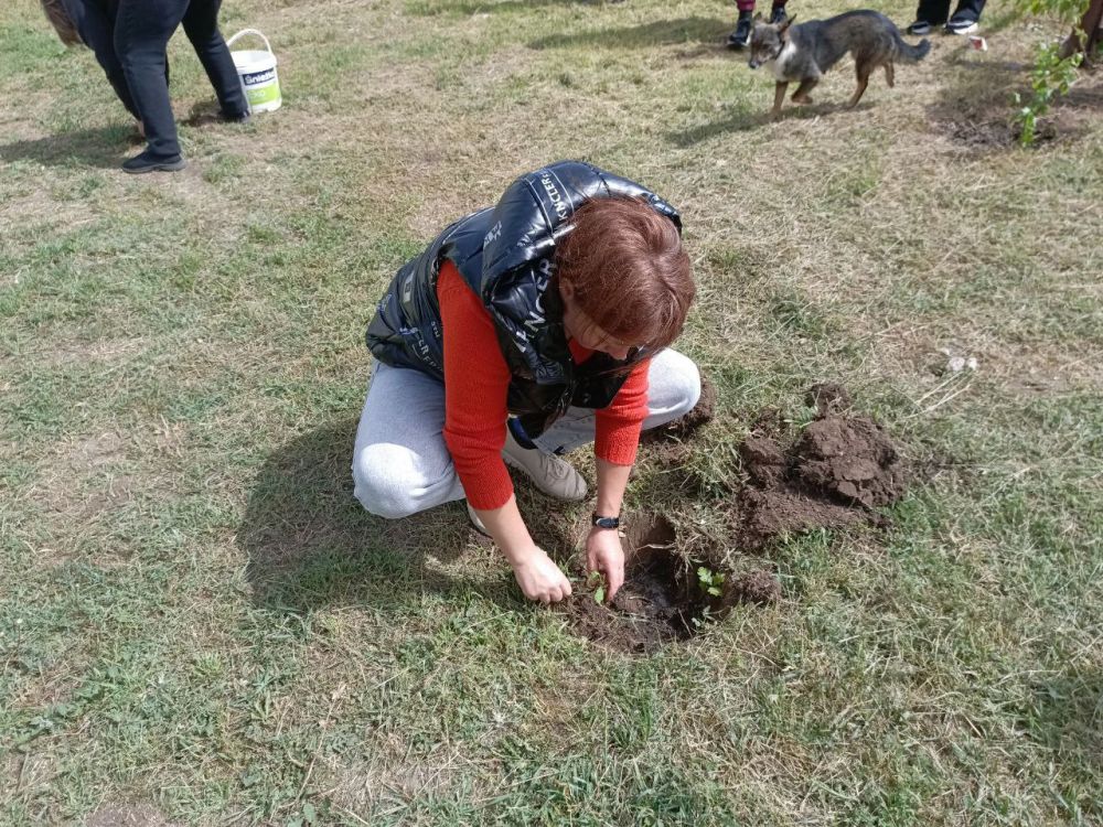 � ���������������� ���������� � 50-����� ������ ������������� �������-�������� ���������� (���) ������� �������������� ���