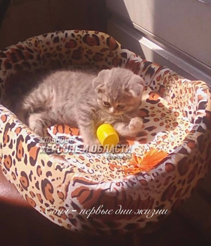 ������� ����, ������ � ������ ��������� � ������� ����� ���� �� �������� �� ����� ������� �����������