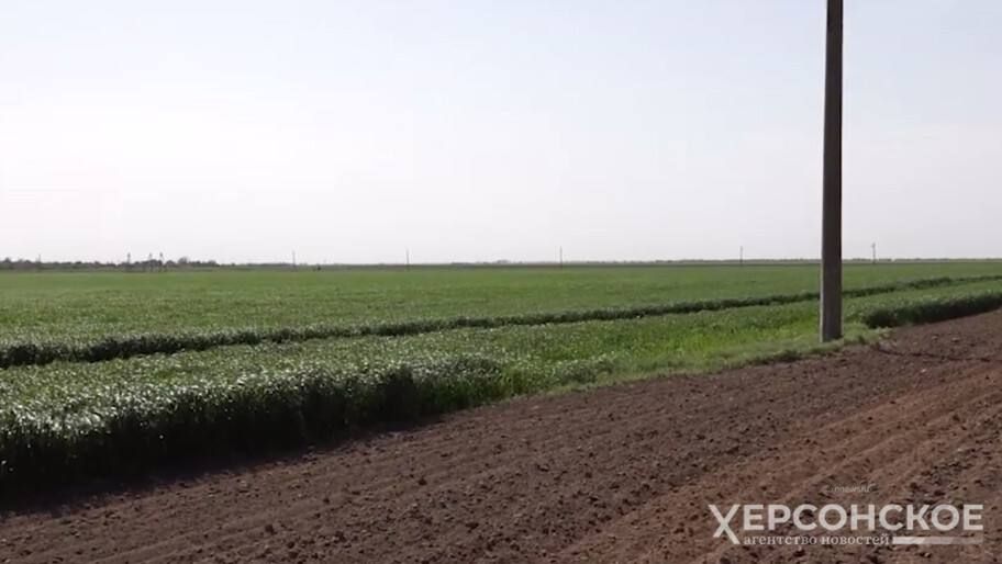 ���������� ������� �������� ������������ ������, �������� �� �������� � ���������