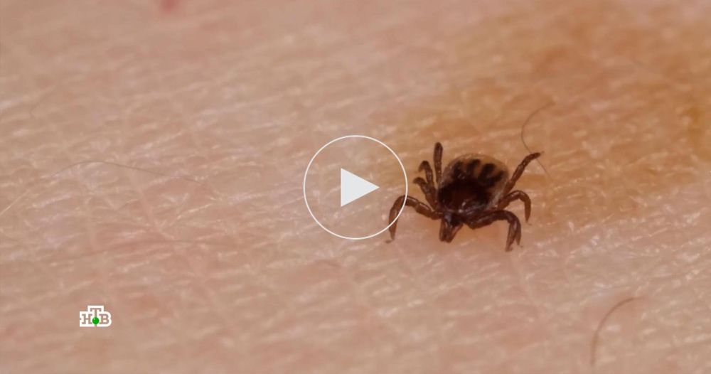 ������ ������������ � ��������� ������� ������-��������