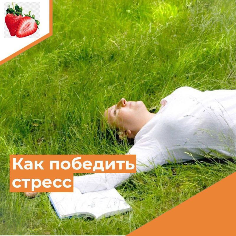 ��� ����� ������� ������ �� ��������