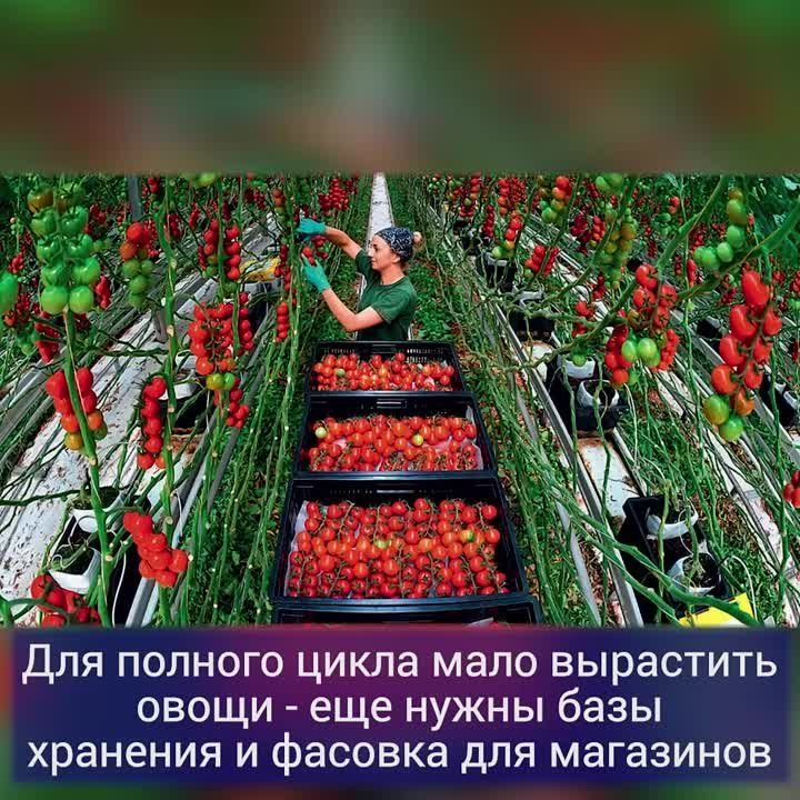 ������ ����������: ��� � �������� ������ �������� �� ������ ��������� � ���������� ������������ ������? ��� �������� ���� ������ �������� � ������������ ������, ������� � ������ �����������