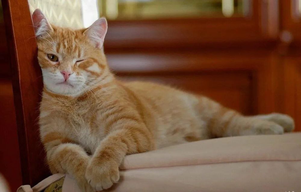 ������� � �������� ����, ����� ��������� � ������������ ���� ����������� �� ������ ����