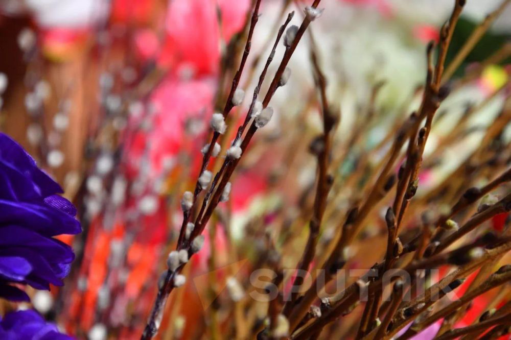 � ������������ �������� ������� ������� �����������