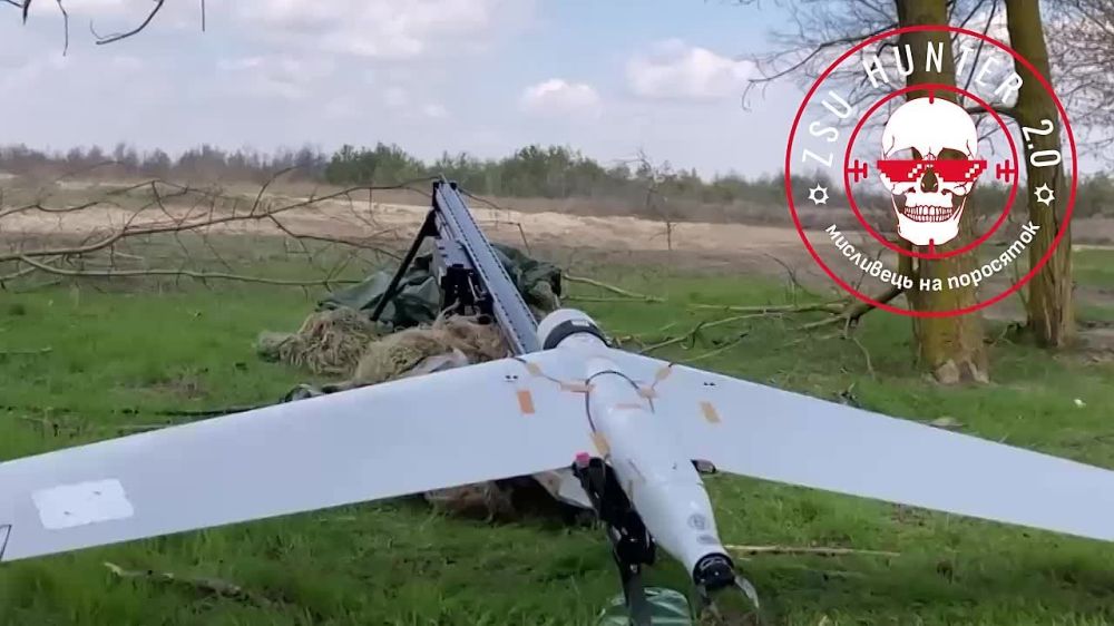 ����� �����: ������ �������� ���� 61 ������ �� �� ��������, ���������� � ��������� ���������� �� ���������� �����������