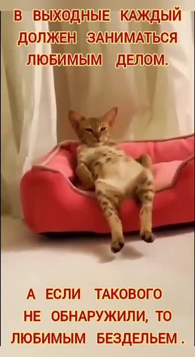 #������������