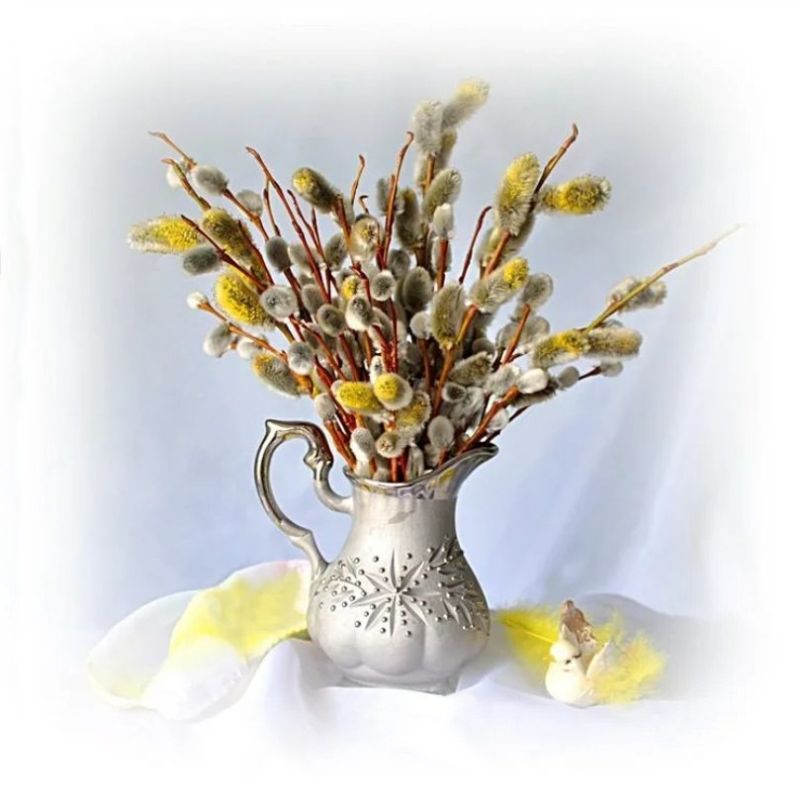 �������� ������ ������������ �������� - ������� �����������!