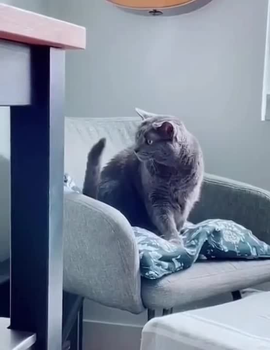 ��������, � ����� ���������� ��������� � ���������