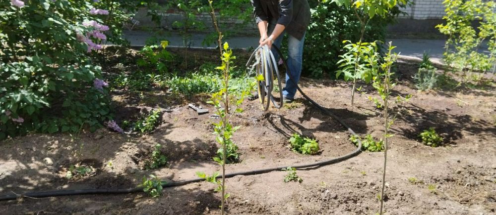 ��������� ��������� ���������� ������������ ������ ��������