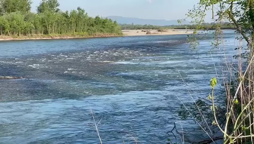 � ���� ���� ����� ���� ���� ������, ������� �������� �������� ������� ��-�� �����������