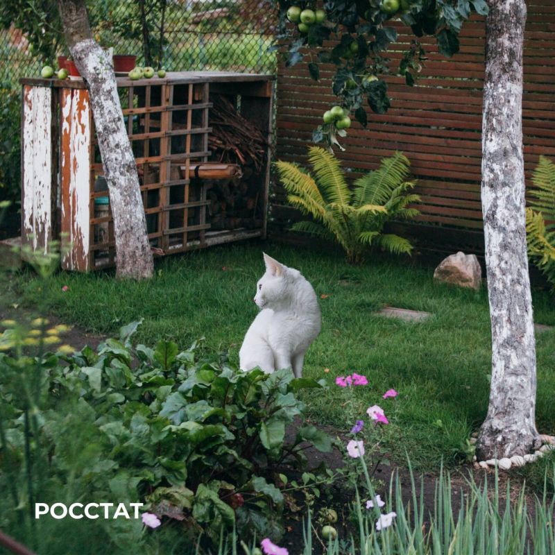 ������� ������� ������ �����������, ������� ��������