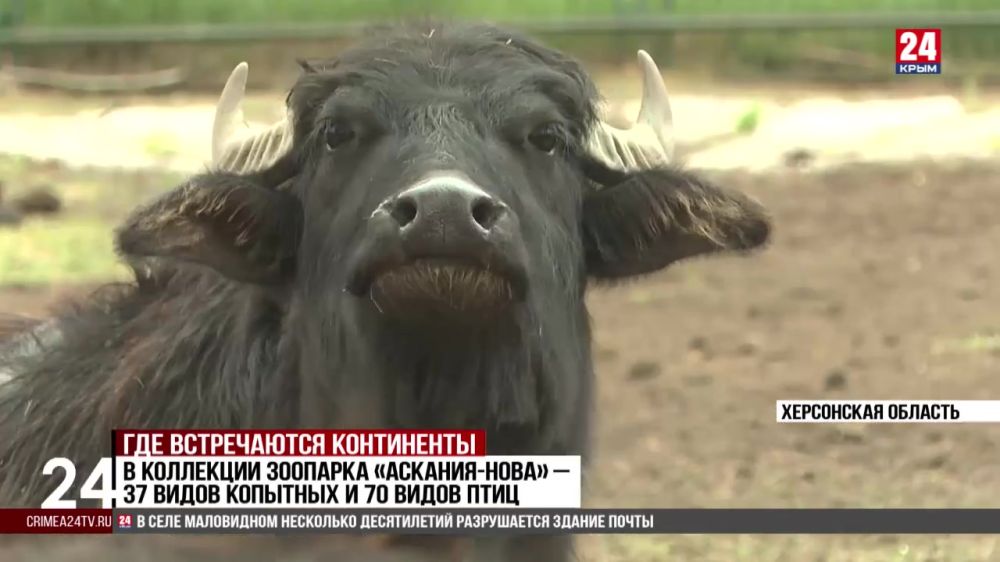 ������� � ����������� ��������-���� ���������� ������� ������� �� 3 ���� ��������� ���� ����� ��� ��������