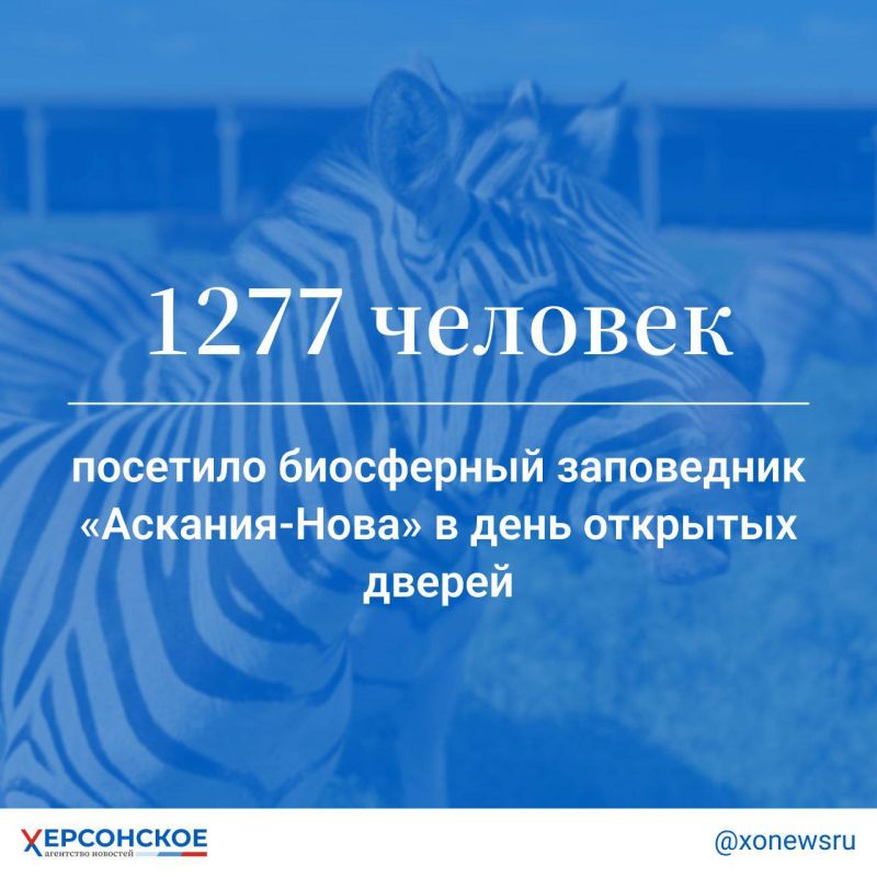 ���� �������� ������, 28 ������, ���������� ���������� ��������-���� �������� ����� 1200 �������