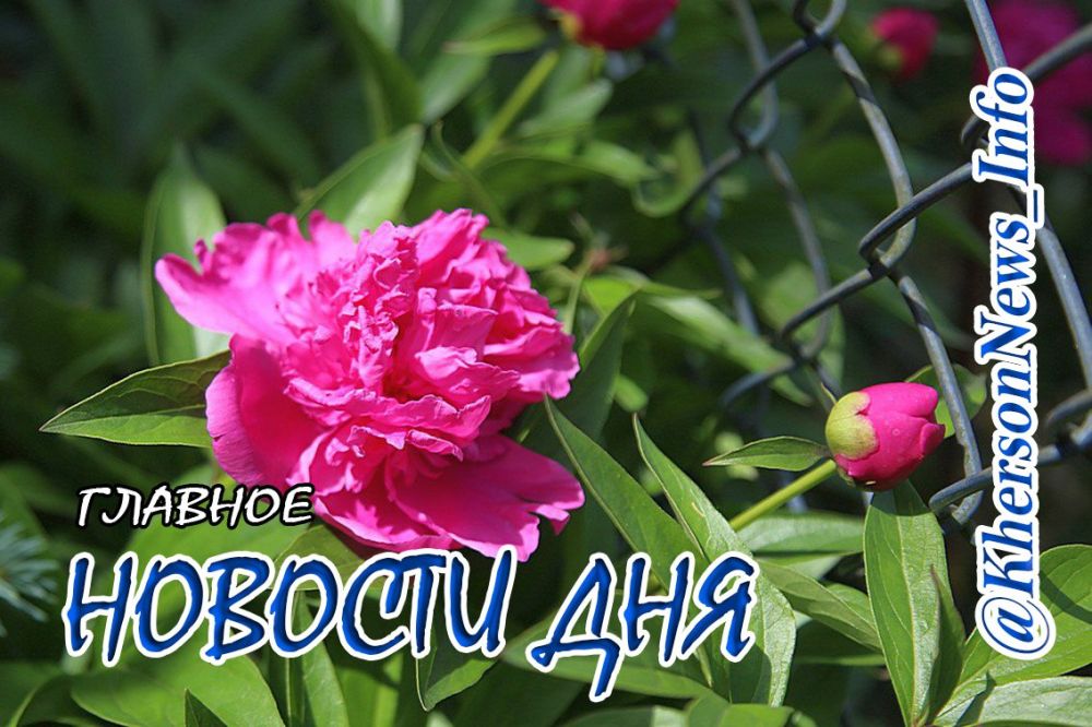 ����������� ������ �� 29 ������ 2024 �.: ���������� �� ��� ������� �����