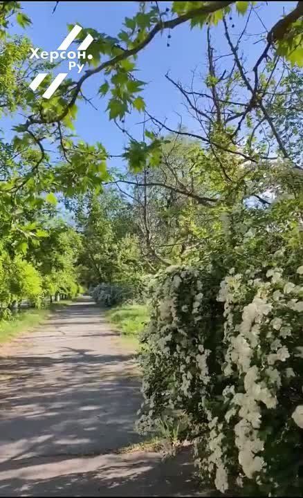 ����� ��������� �������