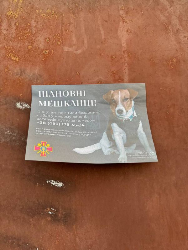 ������, ��� ������������ � ������� ��� ������