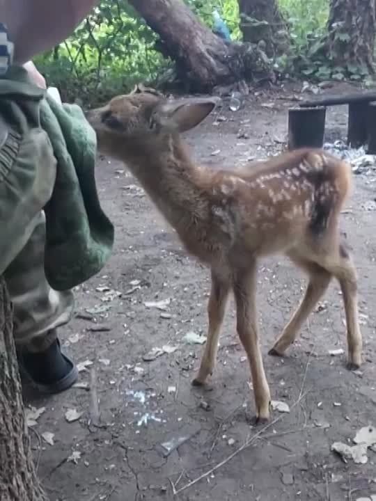 � ����� ������ �������� ��������� ��������, ������� ������� ����