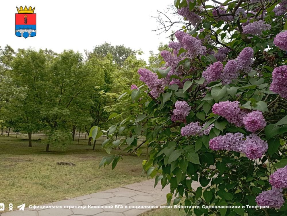 ������ ����, �������!. @VGA_Kakhovka