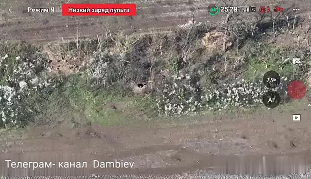 ���������� ����������� "������" �� �� ���������� FPV-������ ������� ���������� �������� � 30-�� �������������� ����������� �� ������������ �����������