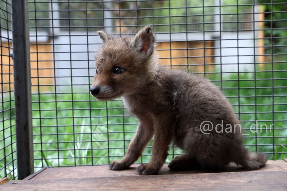 �������� ������ ��� � �����!