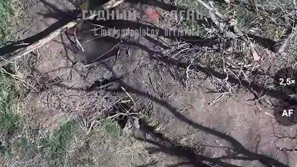 ����� ����� ������ FPV ������� �������-��������� ���-40�