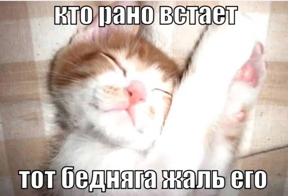 � ��������� ��������! ������������!