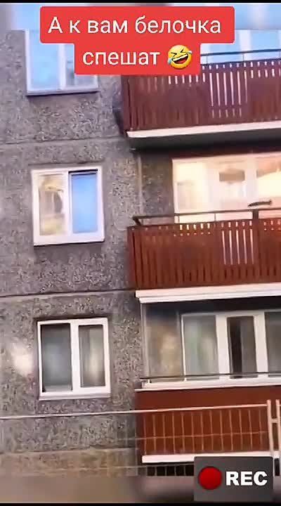 ������, ��� ����-���� � ��������