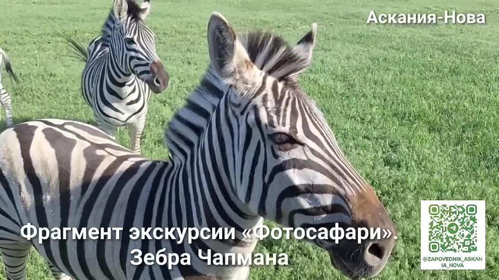 ����������� � ��������� � ����� ���� �������