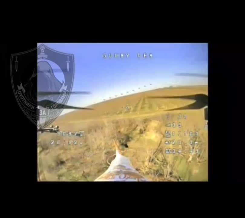 ����������� �������� ������, � ����������� ������������