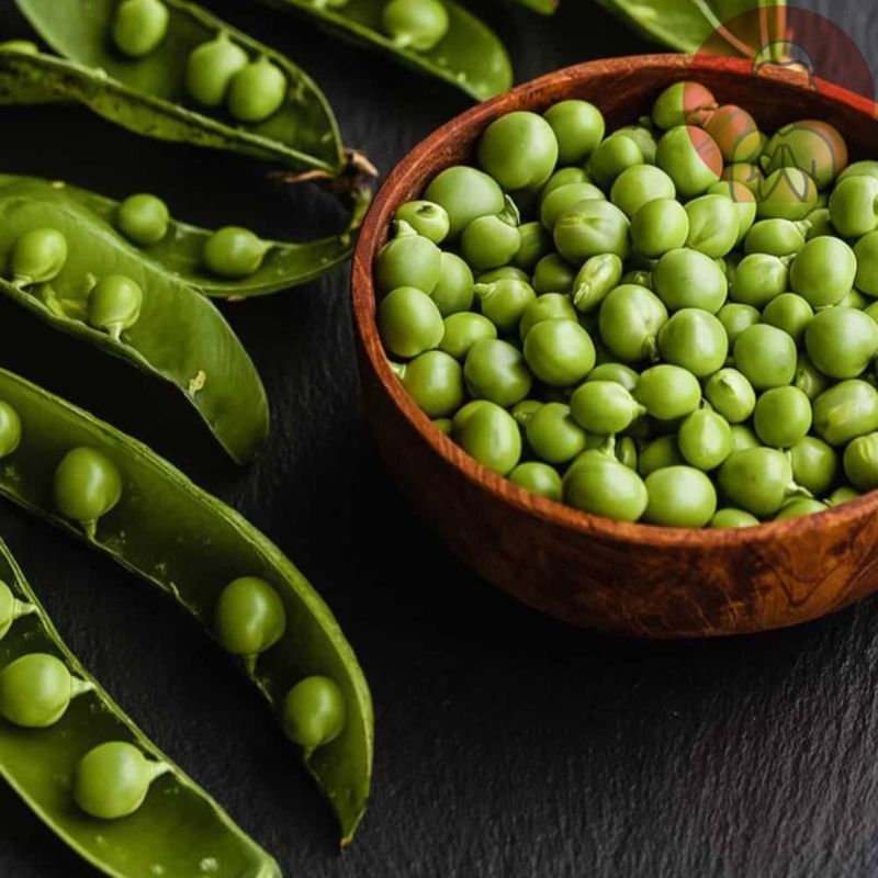 ������ ������. ����� �������� ���������� ������������� �����, ������������ ��������� � �������� ������������� ��������� ��� ���� � ������