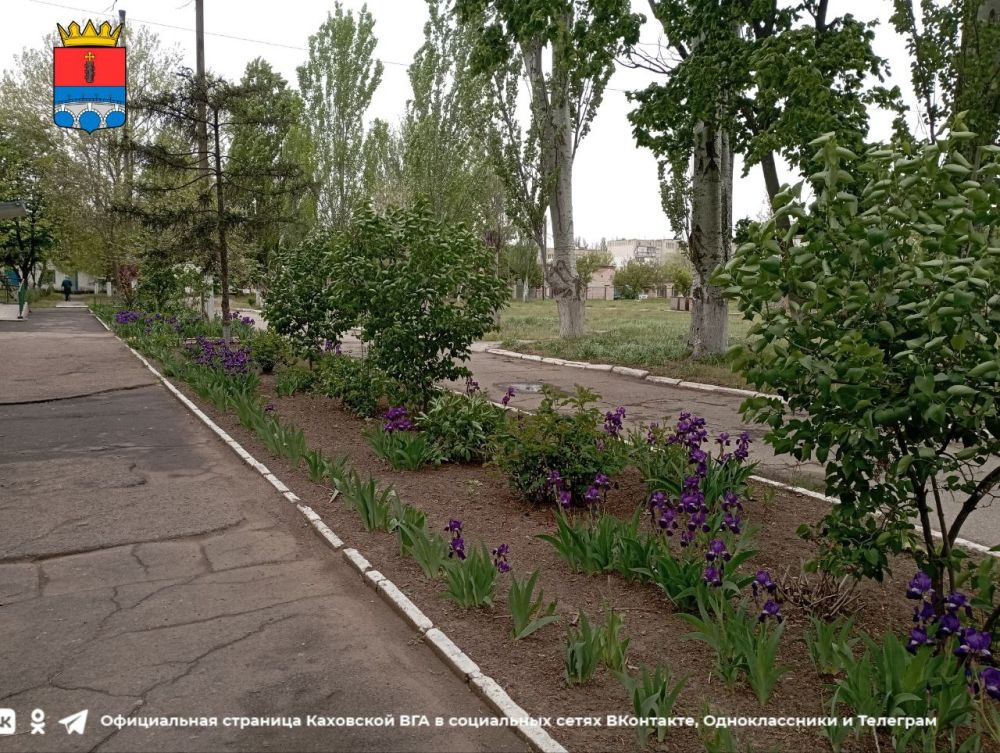 ������ ����, �������!. @VGA_Kakhovka