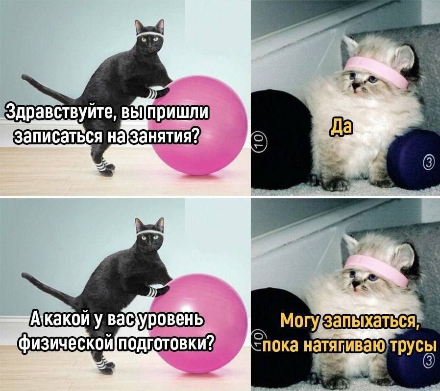 � ���, � ������� �� ������� ������?