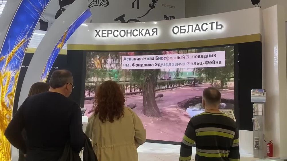 ����� � ������ ����������� ������� ���������� ������� �� �������� ��������