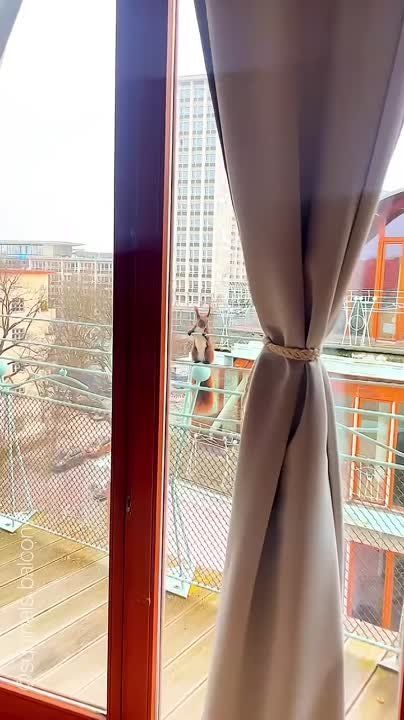 ��� ���� "�������" ����������, ��� �� ������ �������� ��������� ���������