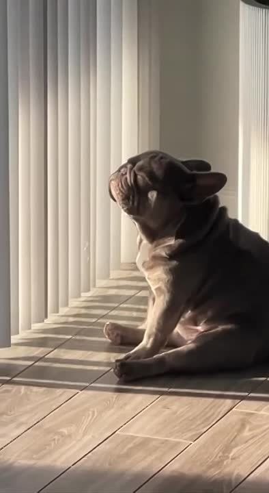 ����� ����� ���� ����� �� ����� ���� � ������������� ������