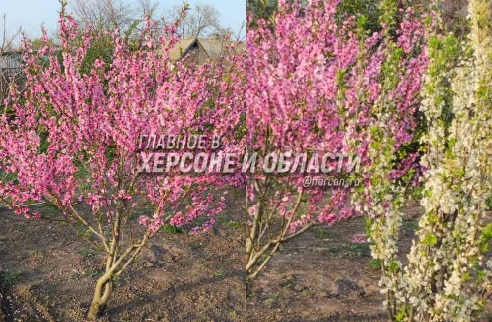 �������, �������� � �������� ���������� � ���� ���������� ���������� ��������� ��������� ������� ������� ����