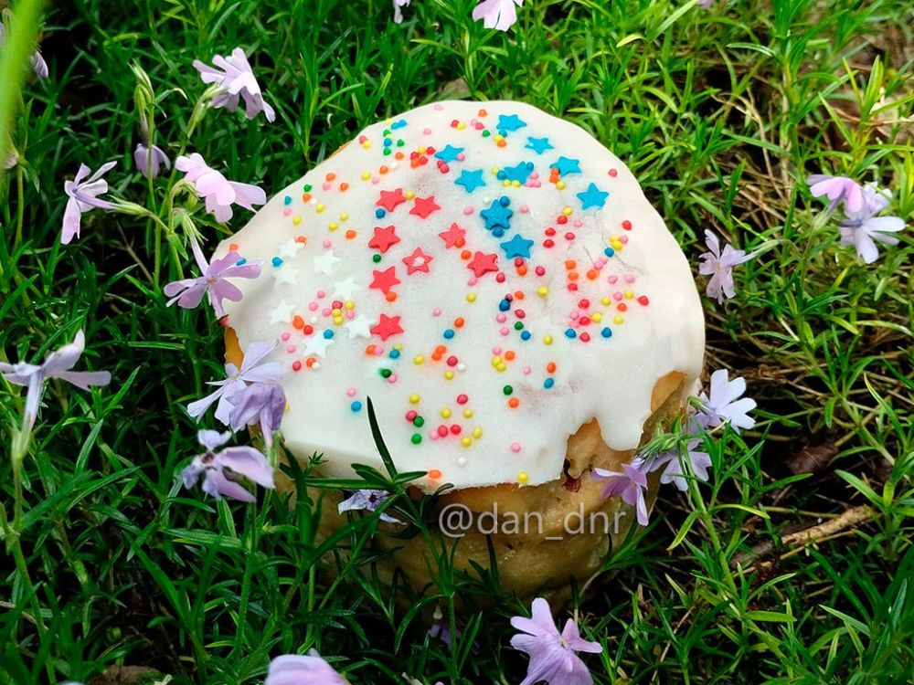 ������ ������ ������. �����������, ����� ���������� ������ ��������