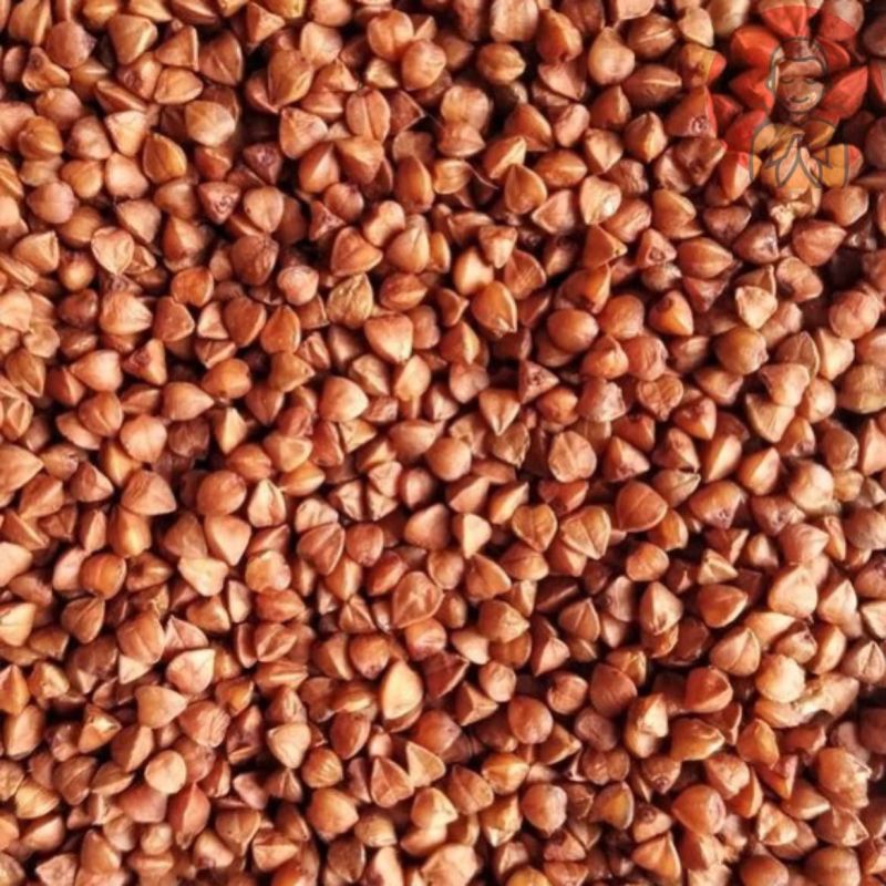 ������ ������. ������ �������� ������������ ������������ ��� �������� ����, ��� � ������������ ����� ��� ���������