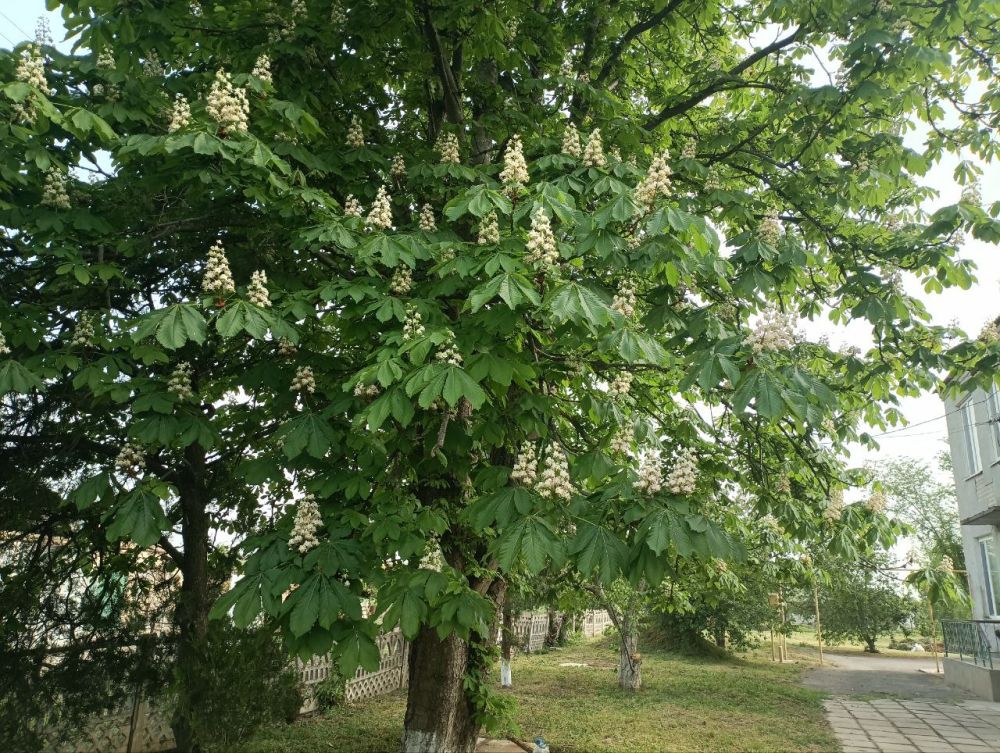 ��� ����� �������� ������������ ��� �������!