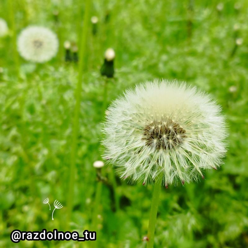 ����������!. ����� ���� �������� � �������